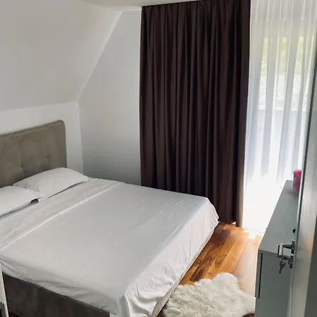 Carpatina Lodge Borsa (Maramures)